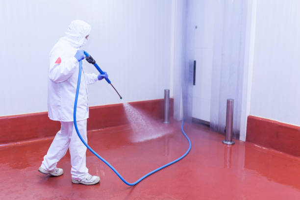 Best Soft Washing  in Willamina, OR