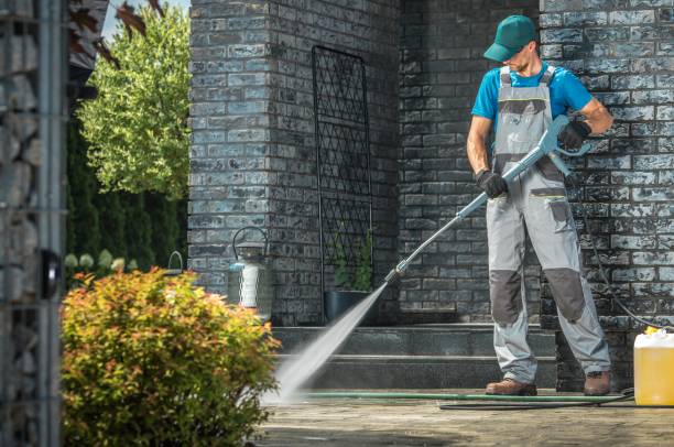 Best Driveway Pressure Washing  in Willamina, OR